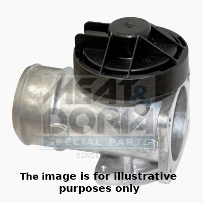 EGR Valve
